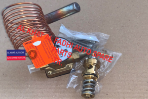 Expansion valve Daewoo Hyundai Aerocity